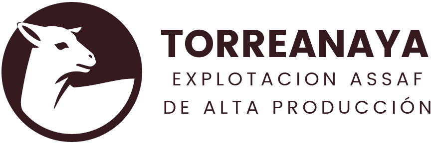 Torreanaya